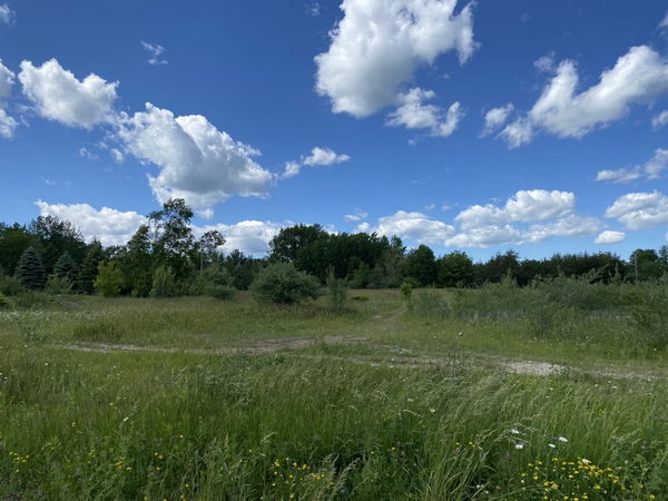 Tawas Drive-In Theatre - June 17 2022 Photo